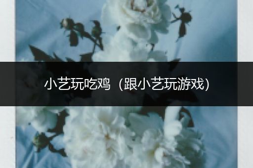 小艺玩吃鸡（跟小艺玩游戏）