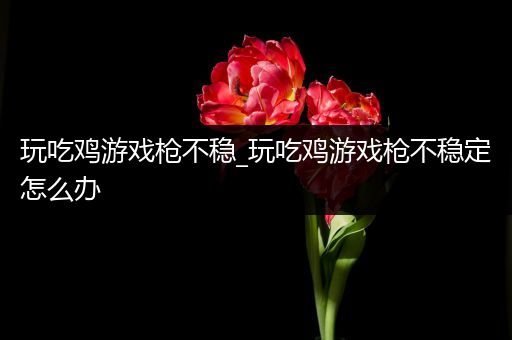 玩吃鸡游戏枪不稳_玩吃鸡游戏枪不稳定怎么办