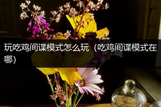 玩吃鸡间谍模式怎么玩（吃鸡间谍模式在哪）