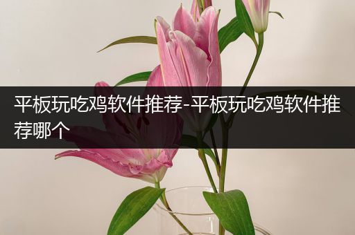平板玩吃鸡软件推荐-平板玩吃鸡软件推荐哪个