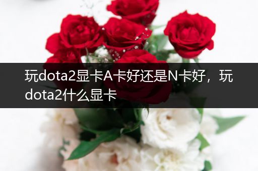 玩dota2显卡A卡好还是N卡好，玩dota2什么显卡