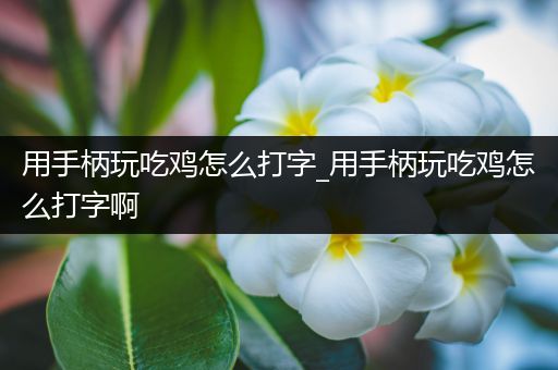 用手柄玩吃鸡怎么打字_用手柄玩吃鸡怎么打字啊