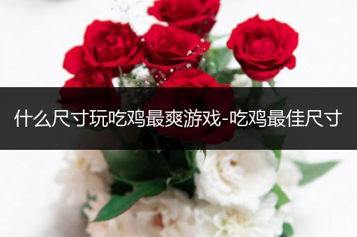 什么尺寸玩吃鸡最爽游戏-吃鸡最佳尺寸