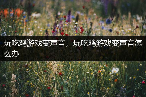 玩吃鸡游戏变声音，玩吃鸡游戏变声音怎么办