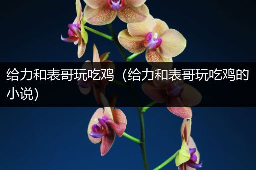 给力和表哥玩吃鸡（给力和表哥玩吃鸡的小说）
