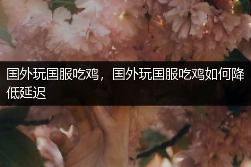 国外玩国服吃鸡，国外玩国服吃鸡如何降低延迟