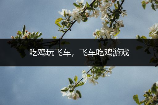 吃鸡玩飞车，飞车吃鸡游戏