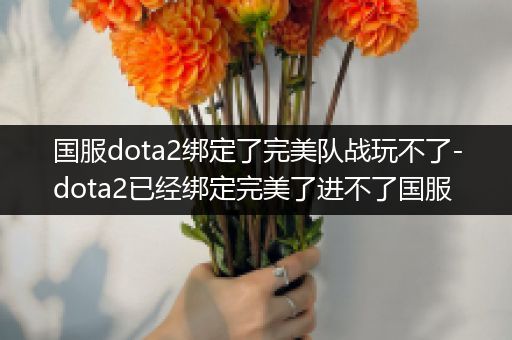 国服dota2绑定了完美队战玩不了-dota2已经绑定完美了进不了国服