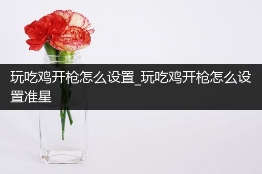玩吃鸡开枪怎么设置_玩吃鸡开枪怎么设置准星