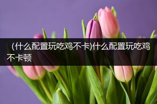 （什么配置玩吃鸡不卡)什么配置玩吃鸡不卡顿