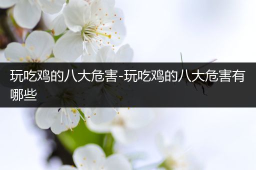 玩吃鸡的八大危害-玩吃鸡的八大危害有哪些