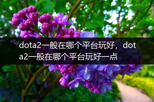 dota2一般在哪个平台玩好，dota2一般在哪个平台玩好一点