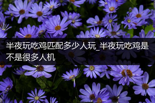 半夜玩吃鸡匹配多少人玩_半夜玩吃鸡是不是很多人机