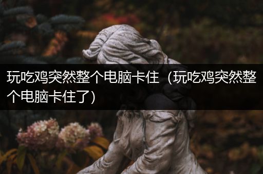 玩吃鸡突然整个电脑卡住（玩吃鸡突然整个电脑卡住了）