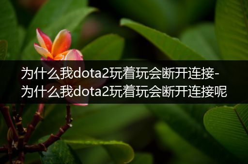 为什么我dota2玩着玩会断开连接-为什么我dota2玩着玩会断开连接呢