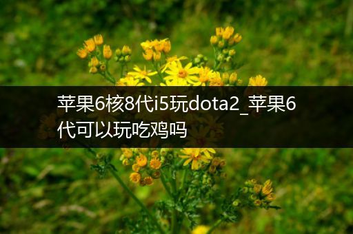 苹果6核8代i5玩dota2_苹果6代可以玩吃鸡吗