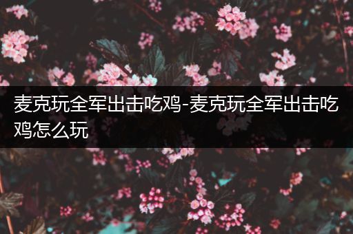 麦克玩全军出击吃鸡-麦克玩全军出击吃鸡怎么玩
