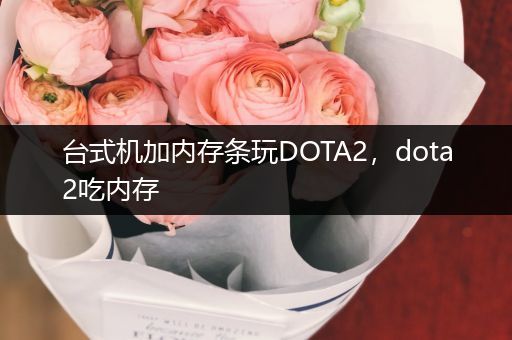 台式机加内存条玩DOTA2，dota2吃内存