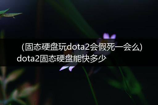 （固态硬盘玩dota2会假死一会么)dota2固态硬盘能快多少