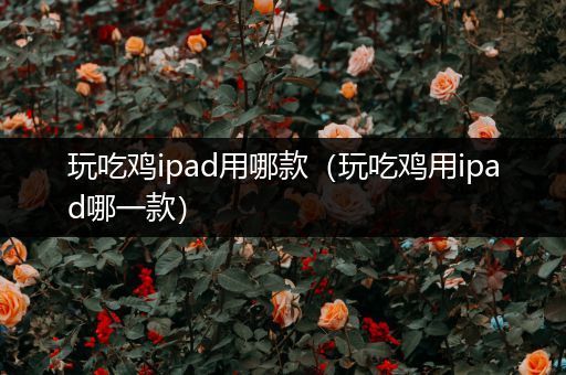 玩吃鸡ipad用哪款（玩吃鸡用ipad哪一款）