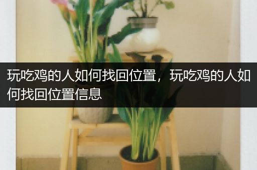 玩吃鸡的人如何找回位置，玩吃鸡的人如何找回位置信息