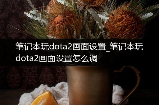 笔记本玩dota2画面设置_笔记本玩dota2画面设置怎么调