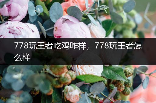 778玩王者吃鸡咋样，778玩王者怎么样