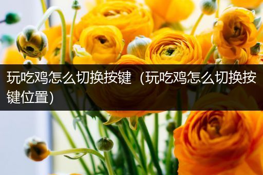 玩吃鸡怎么切换按键（玩吃鸡怎么切换按键位置）