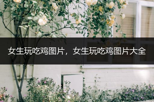 女生玩吃鸡图片，女生玩吃鸡图片大全