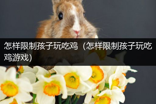 怎样限制孩子玩吃鸡（怎样限制孩子玩吃鸡游戏）