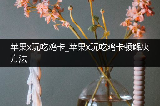 苹果x玩吃鸡卡_苹果x玩吃鸡卡顿解决方法