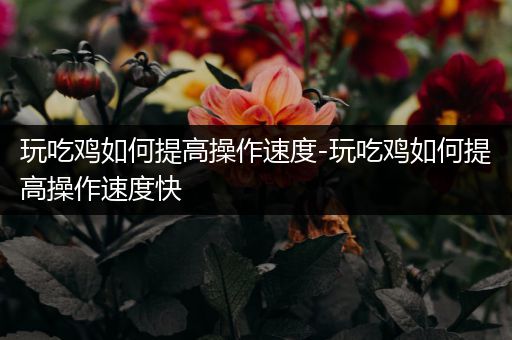 玩吃鸡如何提高操作速度-玩吃鸡如何提高操作速度快