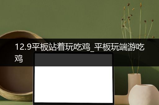 12.9平板站着玩吃鸡_平板玩端游吃鸡