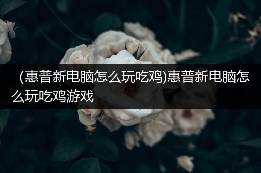 （惠普新电脑怎么玩吃鸡)惠普新电脑怎么玩吃鸡游戏