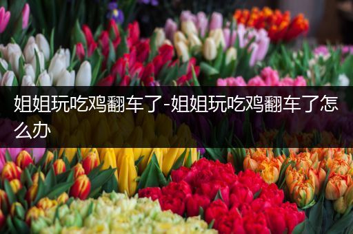 姐姐玩吃鸡翻车了-姐姐玩吃鸡翻车了怎么办