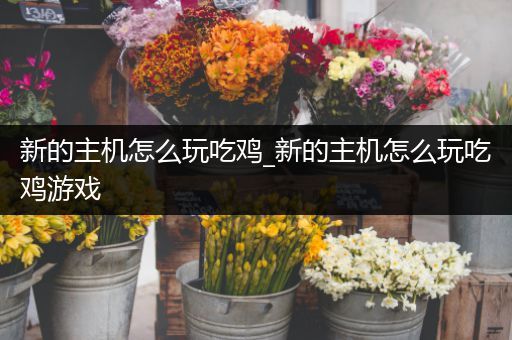 新的主机怎么玩吃鸡_新的主机怎么玩吃鸡游戏