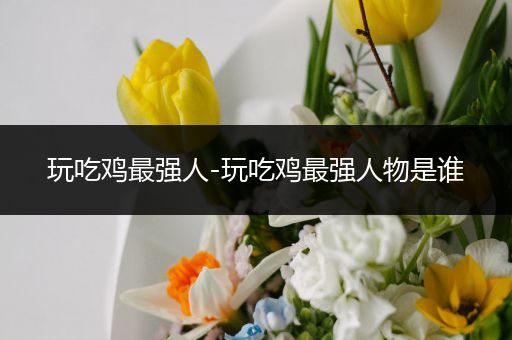 玩吃鸡最强人-玩吃鸡最强人物是谁