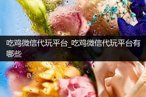 吃鸡微信代玩平台_吃鸡微信代玩平台有哪些