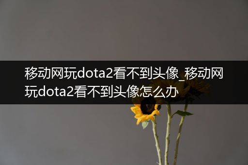 移动网玩dota2看不到头像_移动网玩dota2看不到头像怎么办