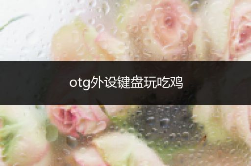 otg外设键盘玩吃鸡