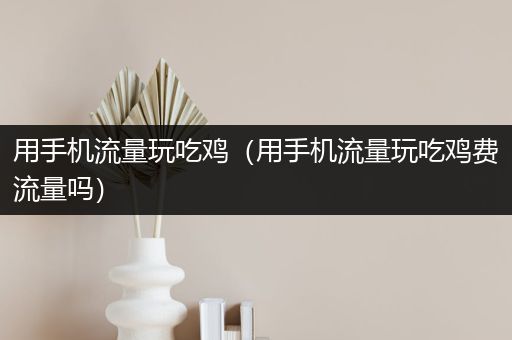 用手机流量玩吃鸡（用手机流量玩吃鸡费流量吗）
