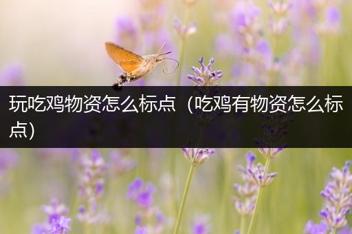 玩吃鸡物资怎么标点（吃鸡有物资怎么标点）