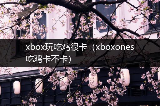 xbox玩吃鸡很卡（xboxones吃鸡卡不卡）
