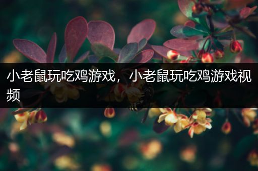 小老鼠玩吃鸡游戏，小老鼠玩吃鸡游戏视频