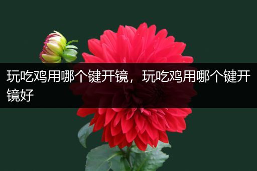 玩吃鸡用哪个键开镜，玩吃鸡用哪个键开镜好