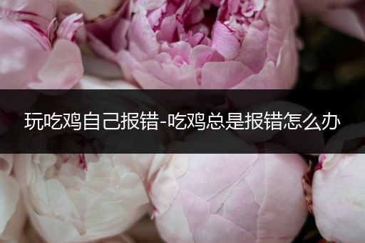 玩吃鸡自己报错-吃鸡总是报错怎么办