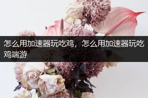 怎么用加速器玩吃鸡，怎么用加速器玩吃鸡端游
