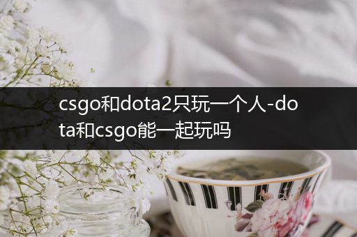 csgo和dota2只玩一个人-dota和csgo能一起玩吗