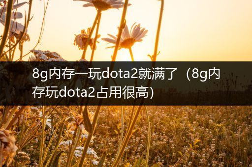 8g内存一玩dota2就满了（8g内存玩dota2占用很高）