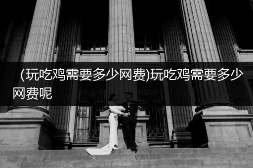 （玩吃鸡需要多少网费)玩吃鸡需要多少网费呢
